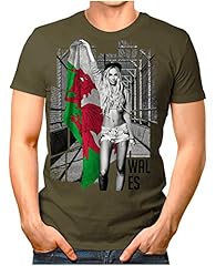 Wales soccer girl gebraucht kaufen  Wird an jeden Ort in Deutschland