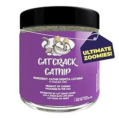 Cat crack catnip for sale  Delivered anywhere in USA 