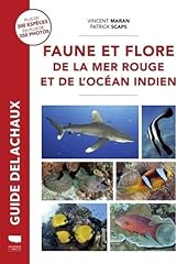Faune flore mer d'occasion  Livré partout en France