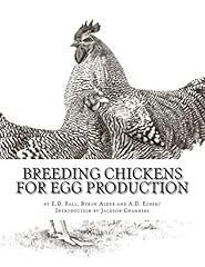 Breeding chickens egg for sale  Delivered anywhere in USA 