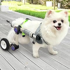 Letpetrun adjustable dog for sale  Delivered anywhere in USA 