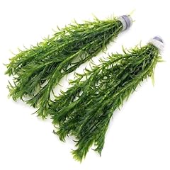 K2aqua elodea densa for sale  Delivered anywhere in UK