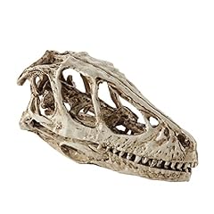 Resin Dinosaur Skull Model Pub Bar Decor Collectibles for sale  Delivered anywhere in Canada