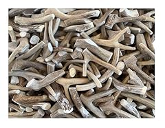 Antler man premium for sale  Delivered anywhere in USA 