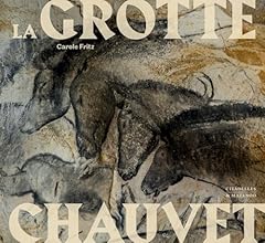 Grotte chauvet d'occasion  Livré partout en France