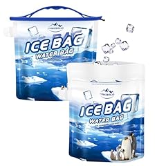 Camicebolso reusable ice for sale  Delivered anywhere in USA 