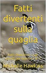 Fatti divertenti sulla usato  Spedito ovunque in Italia 