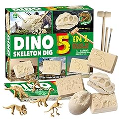 Eduman dinosaur fossil for sale  Delivered anywhere in USA 
