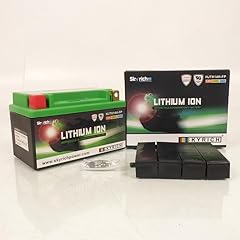 Batterie lithium skyrich d'occasion  Livré partout en Belgiqu