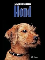 Hond usato  Spedito ovunque in Italia 
