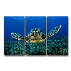 Sea turtle wall for sale  Delivered anywhere in USA 