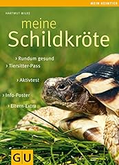 Schildkröte gebraucht kaufen  Wird an jeden Ort in Deutschland