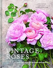 Vintage roses beautiful for sale  Delivered anywhere in Ireland