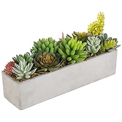 Mygift faux succulent for sale  Delivered anywhere in USA 