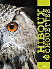 Hiboux chouettes d'occasion  Livré partout en Belgiqu