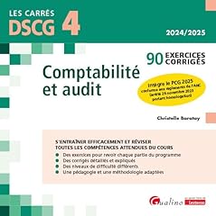 Dscg exercices corrigés d'occasion  Livré partout en France