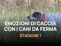 Emozioni caccia con usato  Spedito ovunque in Italia 