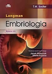 Embriologia langman usato  Spedito ovunque in Italia 