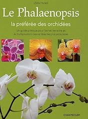 Phalaenopsis préférée orchi d'occasion  Livré partout en France