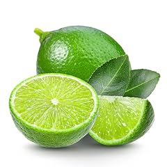 100 lime tree for sale  Delivered anywhere in USA 