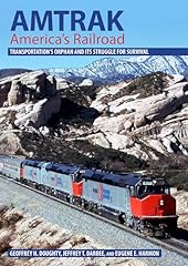Amtrak america railroad usato  Spedito ovunque in Italia 