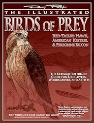Illustrated birds prey for sale  Delivered anywhere in USA 
