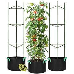 Growneer packs tomato for sale  Delivered anywhere in USA 