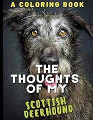 Thoughts scottish deerhound for sale  Delivered anywhere in UK