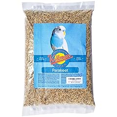 Volkman super parakeet for sale  Delivered anywhere in USA 