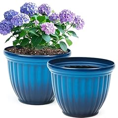 Autodaya large flower for sale  Delivered anywhere in USA 