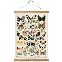 Ovfovy vintage butterflies for sale  Delivered anywhere in USA 