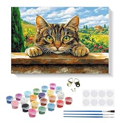 Ricuved gatto dipingere usato  Spedito ovunque in Italia 