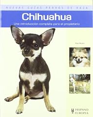 Chihuahua d'occasion  Livré partout en France