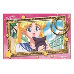 Sailor moon crystal usato  Spedito ovunque in Italia 