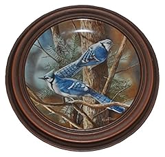 Blue jay kevin for sale  Delivered anywhere in USA 