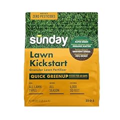 Sunday lawn kickstart for sale  Delivered anywhere in USA 