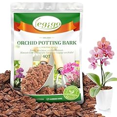 Legigo quarts organic for sale  Delivered anywhere in USA 