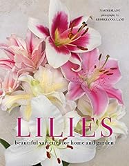 Lilies beautiful varieties for sale  Delivered anywhere in USA 