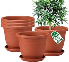 Shineloha packs inch for sale  Delivered anywhere in USA 