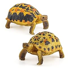 Fantarea tortoise wildlife for sale  Delivered anywhere in USA 