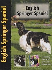 English springer spaniel d'occasion  Livré partout en France