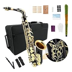 Youngmonic altsaxophon anfäng gebraucht kaufen  Wird an jeden Ort in Deutschland