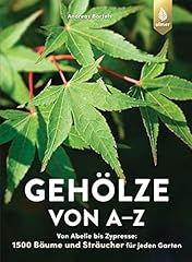 Gehölze abelie zypresse gebraucht kaufen  Wird an jeden Ort in Deutschland