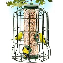 Squirrel proof bird for sale  Delivered anywhere in USA 