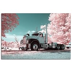Old mack trucks for sale  Delivered anywhere in USA 
