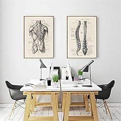 Human Anatomy Artwork Medical Wall Picture Muscle Skeleton Vintage Poster Nordic Canvas Print Education Painting Modern Decor 50x70cmx2Pcs Frameless for sale  Delivered anywhere in Canada