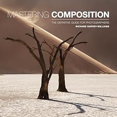 Mastering composition the gebraucht kaufen  Wird an jeden Ort in Deutschland