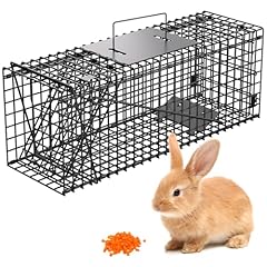 Vasalaid live animal for sale  Delivered anywhere in USA 