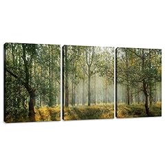 Yetaryy forest canvas for sale  Delivered anywhere in USA 