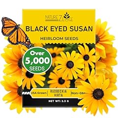 Black eyed susan for sale  Delivered anywhere in USA 